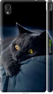 Чохол на Sony Xperia M4 Aqua E2312 Димчастий кіт "825m-162-2448"