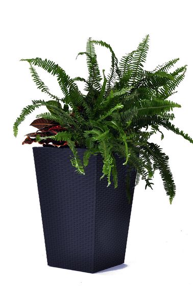 Горщик для квітів (кашпо) Keter (Кетер) Rattan Style Planter M (17192301) Антрацит | Зображення 3