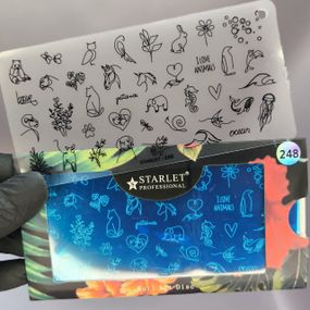 Пластина с трафаретом 248 для стемпинга Starlet Professional (12х6см)