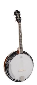Банджо Richwood RMB-904-SS