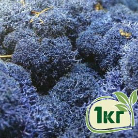 Стабілізований мох ягель Синій блакитний 1 кг