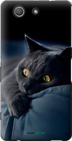 Чохол на Sony Xperia Z3 Compact D5803 Димчастий кіт "825u-277-2448"