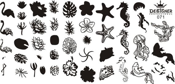 Пластина 071 для стемпінгу Designer Professional (12х6см) | Зображення 1