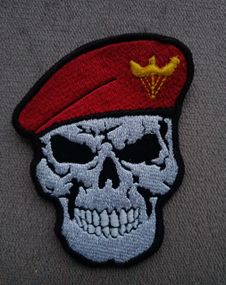 Шеврон Череп ДШВ 10см (вышитый)