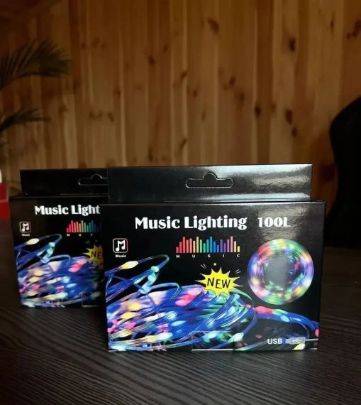 Гирлянда музыкальная с динамиком USB 10 м | Зображення 1