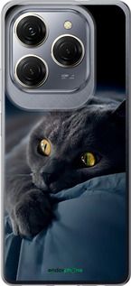 Чохол на Tecno Spark 20 Pro Димчастий кіт "825u-3620-2448"