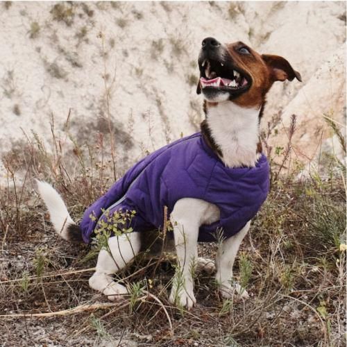 Жилет Pet Fashion «E.Vest» для собак, размер XS2, фиолетовый | Зображення 3