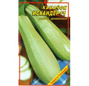 Насіння кабачка Іскандер F1 5 шт. (Seminis)