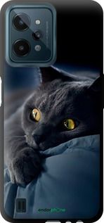 Чохол на Realme C31 Димчастий кіт "825b-2593-2448"