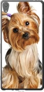 Чохол для Sony Xperia XA F3112 з силікону FCh_076203