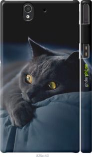 Чохол на Sony Xperia Z C6602 Димчастий кіт "825m-40-2448"