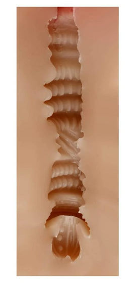 Вагіна-мастурбатор Judith без вібрації sexstyle | Зображення 11