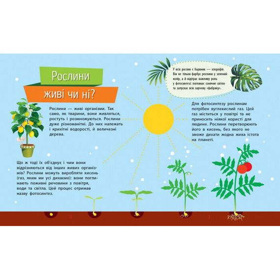 Обучающая книжка Почемучки "Растения" 875010 вопросы и ответы | Зображення 2
