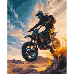 Картина по номерам "Мотоэкстрим" 12511-AC 40x50 см