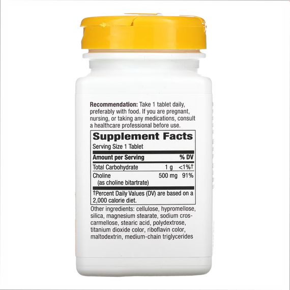 Choline 500 mg - 100 tabs | Зображення 1