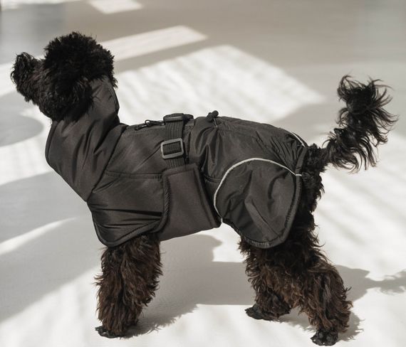 Жилет попона чорний GP-6