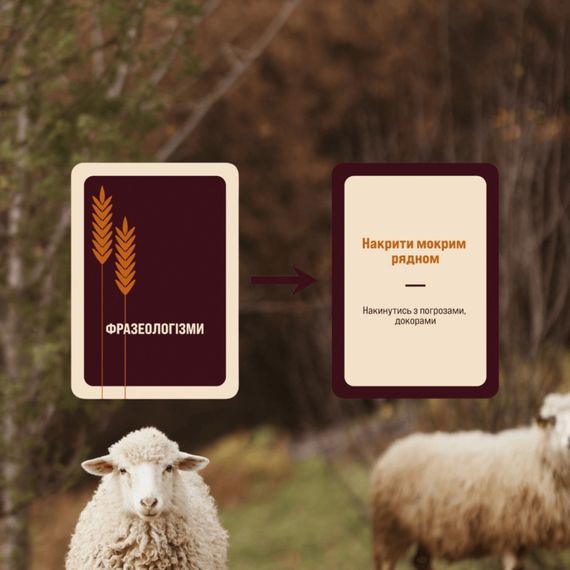 Игра настольная Игра слов MemoGames 0013MG 180 карточек, 4 категории | Зображення 3