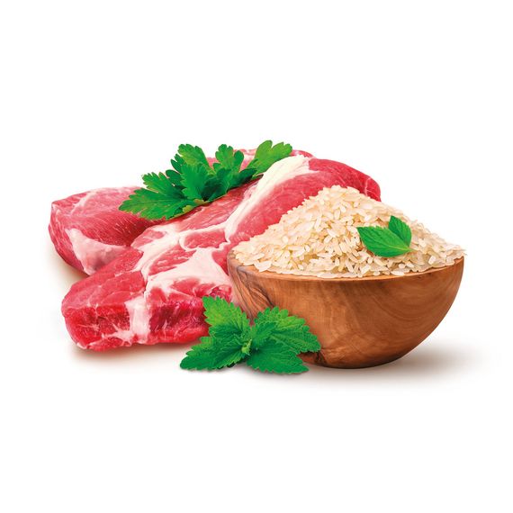 Сухий корм для цуценят малих порід Ягнятина та рис For puppies 1-12 months, 300 г | Зображення 2