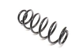 Пружина підвіски VW Passat 00-05 передня