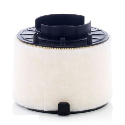 Воздушный фильтр для автомобиля Mann C17009