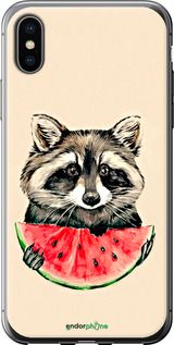 Чохол на iPhone XS Єнотик з кавуном "4605t-1583-2448"