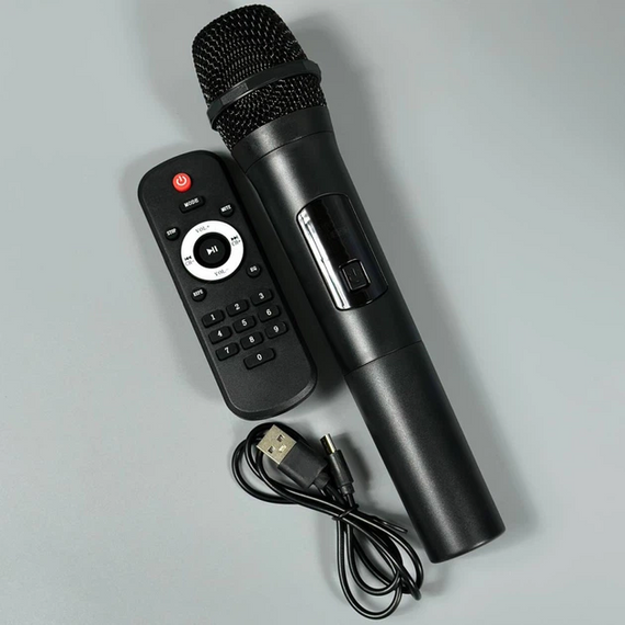 Переносна Bluetooth-колонка ZQS8220S 20 Вт 8” з мікрофоном та пультом акустична система для караоке Чорний | Зображення 2