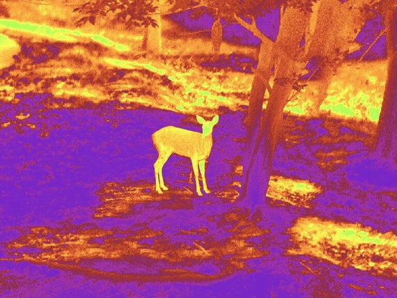 Приціл тепловізійний Guide TU450 3,2-12,8x50 400x300@17μm VOx 1400м | Зображення 6