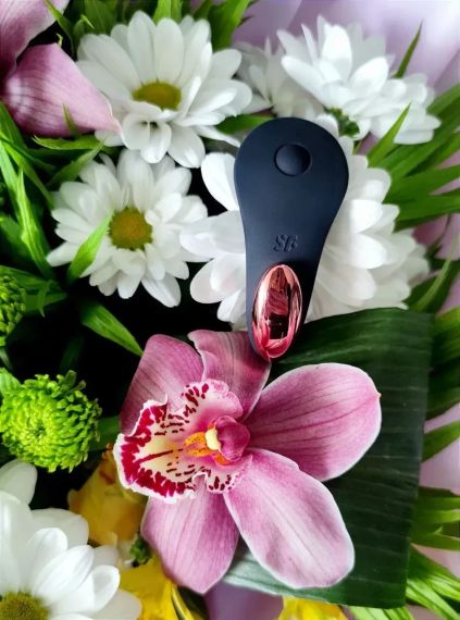 Вибратор в трусики с пультом и функцией управления со смартфона Satisfyer Little Secret черный Sex Aura | Зображення 1