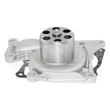 Водяной насос Renault Dokker 1.5 dCi 13-/ Duster/Sandero 1.5 dCi 10-/ Kangoo 1.5dCi 10-/ Captur 1.5 dCi 13-/ Megane/Scenic  1.5