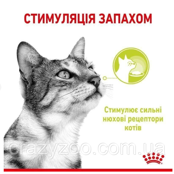 Влажный корм для котов Royal Canin Sensory Smell Jelly 85 г | Зображення 1