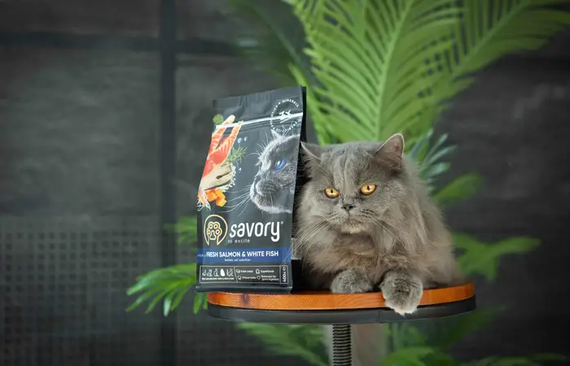Сухий корм Savory для дорослих котів, лосось і біла риба 2кг | Зображення 4