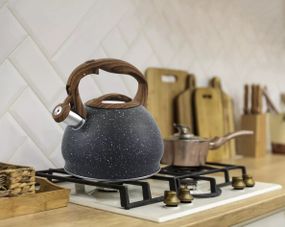 Чайник із свистком Gusto Пірат GT-1411-30 3 л
