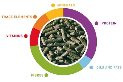 Корм для молодих декоративних кроликів Padovan Coniglietti Junior, 850 гр | Зображення 1