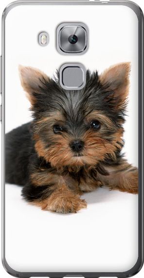Чехол на Huawei Nova Plus Щенок йоркширского терьера "931u-961-17620"
