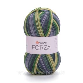 Шкарпеткова пряжа YarnArt Forza, 2505