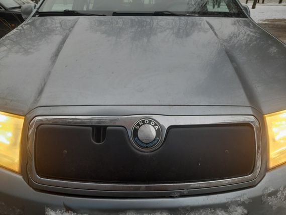 Зимняя накладка на решетку Глянцевая для Skoda Fabia 2000-2007 гг | Зображення 1