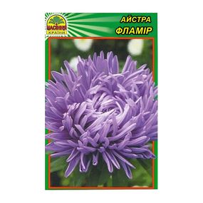 Насіння Айстра Фламір 0,3 г (Насіння країни)