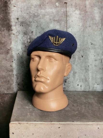Бере ВВС крапля грозове небо