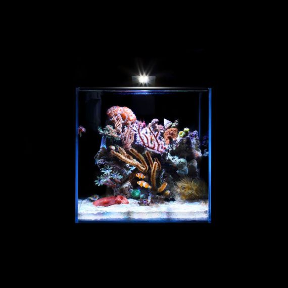 Комплект Nano  Marine Set 15 літрів | Зображення 6