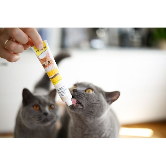 Паста GimCat DUO PASTE Multi-vitamin 12 vitamins with cheese для котів усіх порід 12 вітамінів та сир 50г | Зображення 3