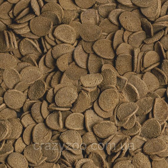 Корм для донних риб Sera Vipachips Nature в чіпсах 250 мл (90 г) 00515 | Зображення 1