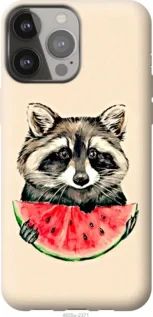 Чохол для Apple iPhone 13 Pro Max з силікону FCh_023473