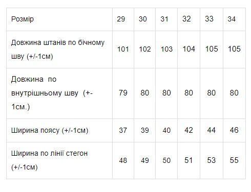 Штани чоловічі Носи своє 29 Темно-синій (p-5172-63996) | Зображення 1