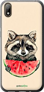 Чохол на Huawei Y5 2019 Єнотик з кавуном "4605t-1695-2448"