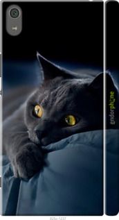 Чохол на Sony Xperia XA1 Ultra G3212 Димчастий кіт "825m-1237-2448"