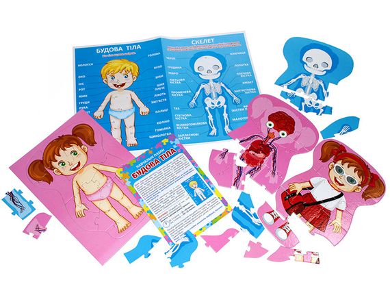 Пазл Будова тіла | Зображення 3