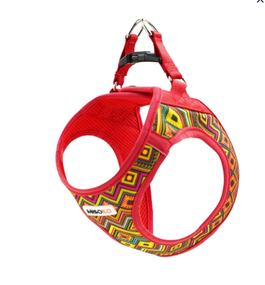 Шлея для собак MISOKO&CO, red-multicolor, S