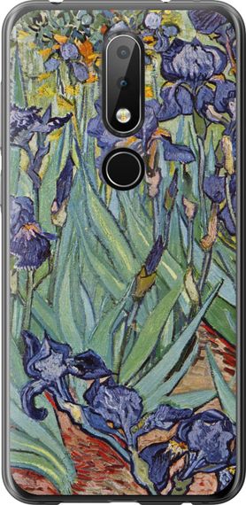 Чехол на Nokia 6.1 Plus Винсент Ван Гог. Ирисы "161u-1539-17620"