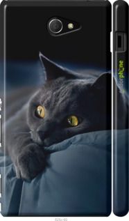 Чохол на Sony Xperia M2 dual D2302 Димчастий кіт "825m-61-2448"