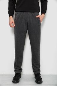 Спортивные штаны мужские на флисе, цвет серый, 244R41597